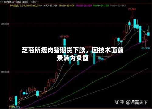 芝商所瘦肉猪期货下跌	，因技术面前景转为负面-第2张图片