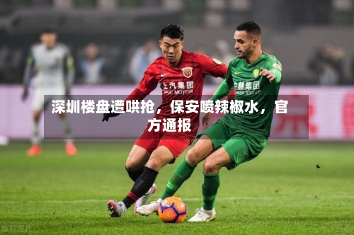 深圳楼盘遭哄抢，保安喷辣椒水	，官方通报-第2张图片