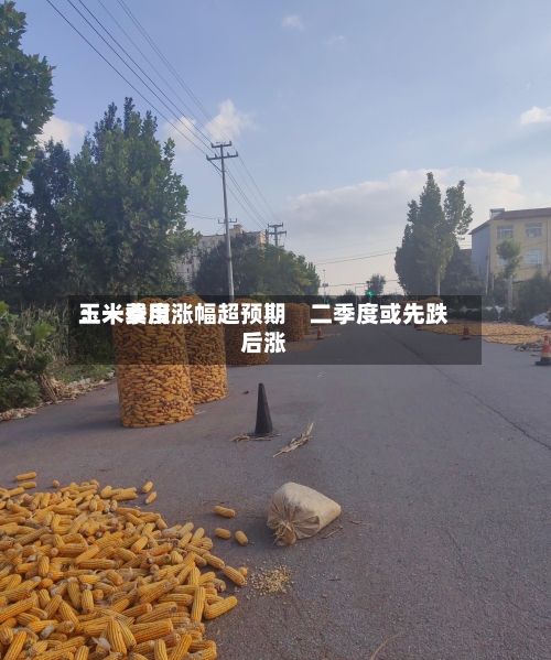 玉米费用：一季度涨幅超预期　二季度或先跌后涨