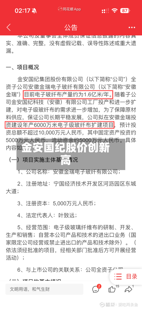 金安国纪股价创新高