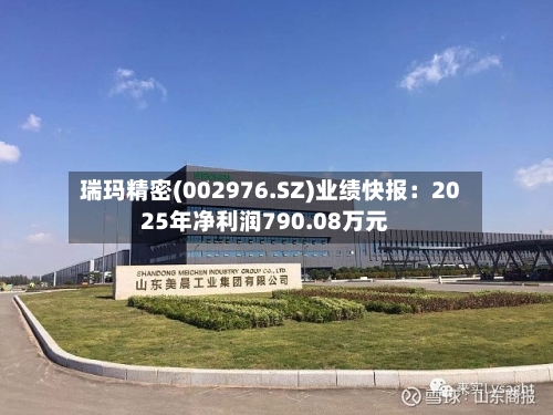 瑞玛精密(002976.SZ)业绩快报：2025年净利润790.08万元