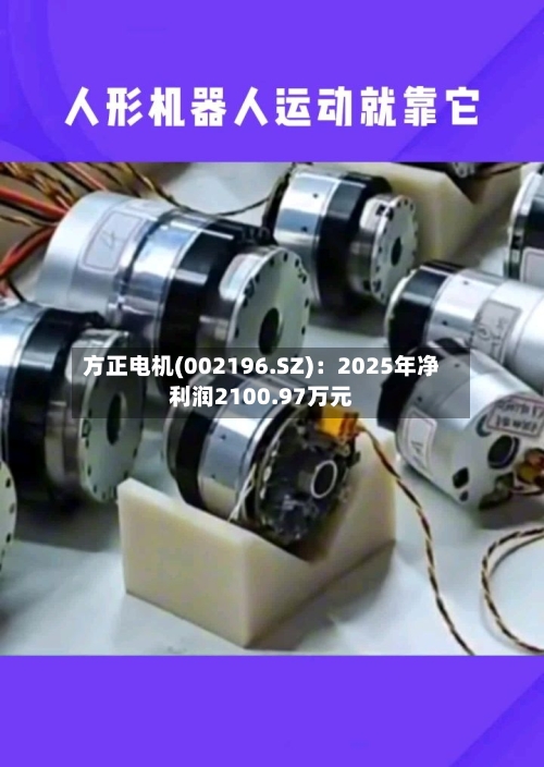 方正电机(002196.SZ)：2025年净利润2100.97万元