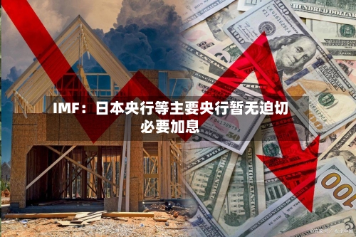 IMF：日本央行等主要央行暂无迫切必要加息-第3张图片