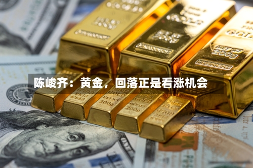 陈峻齐：黄金，回落正是看涨机会