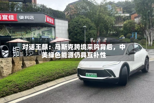 对话王麒：马斯克跨境采购背后，中美绿色能源仍具互补性-第2张图片