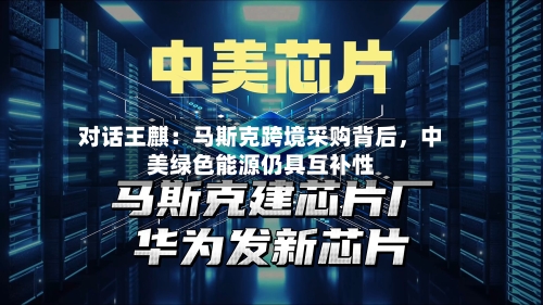 对话王麒：马斯克跨境采购背后	，中美绿色能源仍具互补性-第3张图片