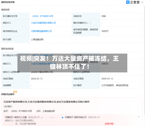 视频|突发！万达大量资产被冻结	，王健林顶不住了！-第2张图片