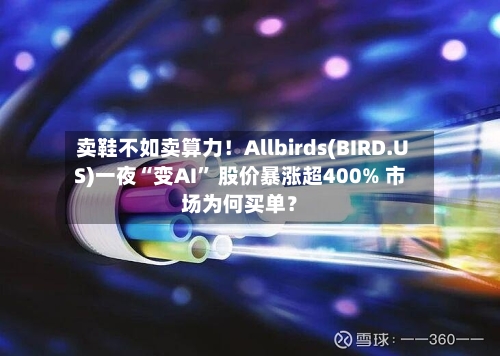 卖鞋不如卖算力！Allbirds(BIRD.US)一夜“变AI	” 股价暴涨超400% 市场为何买单？-第2张图片