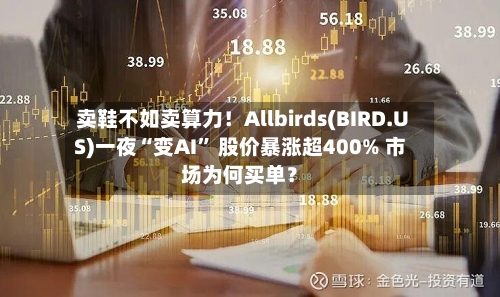 卖鞋不如卖算力！Allbirds(BIRD.US)一夜“变AI” 股价暴涨超400% 市场为何买单？-第3张图片
