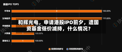 和辉光电	，申请港股IPO前夕，遭国资基金低价减持，什么情况？-第2张图片