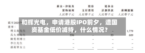 和辉光电，申请港股IPO前夕，遭国资基金低价减持，什么情况？
