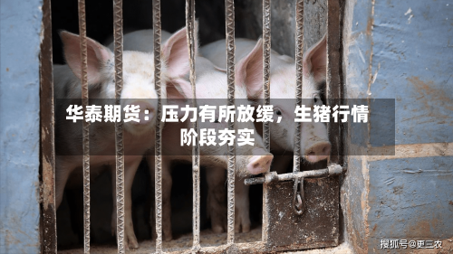 华泰期货：压力有所放缓，生猪行情阶段夯实