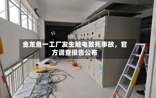 金龙鱼一工厂发生触电致死事故，官方调查报告公布-第2张图片