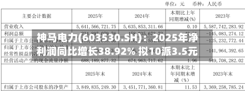神马电力(603530.SH)：2025年净利润同比增长38.92% 拟10派3.5元