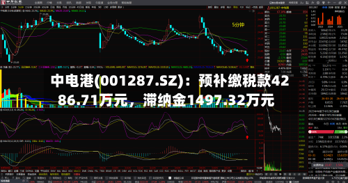 中电港(001287.SZ)：预补缴税款4286.71万元，滞纳金1497.32万元-第2张图片