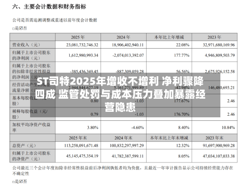 ST司特2025年增收不增利 净利骤降四成 监管处罚与成本压力叠加暴露经营隐患