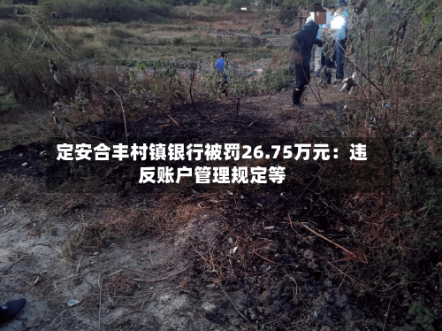 定安合丰村镇银行被罚26.75万元：违反账户管理规定等