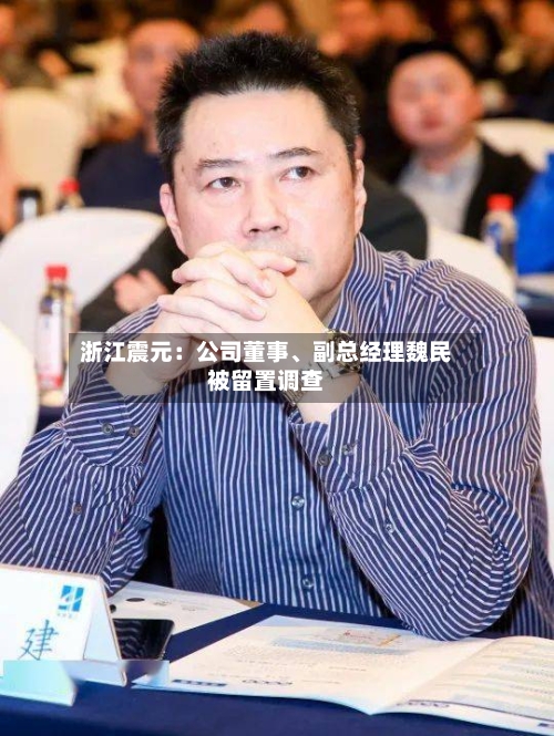 浙江震元：公司董事、副总经理魏民被留置调查