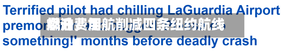 燃油费用飙升	，加航削减四条纽约航线-第1张图片