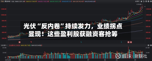 光伏“反内卷”持续发力，业绩拐点显现！这些盈利股获融资客抢筹