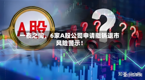 一夜之间，6家A股公司申请撤销退市风险警示！-第2张图片