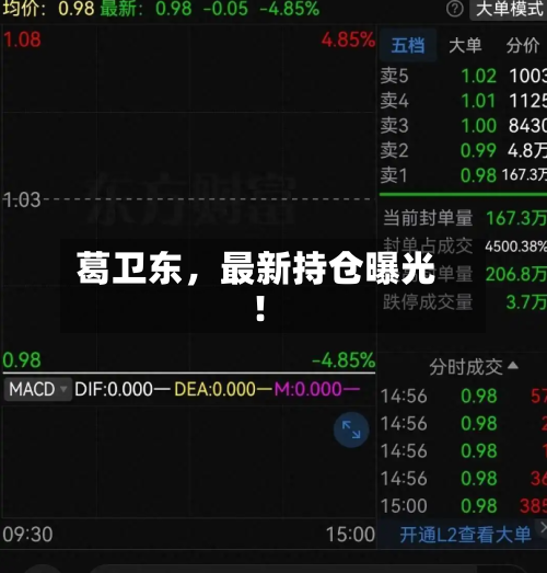 葛卫东，最新持仓曝光！