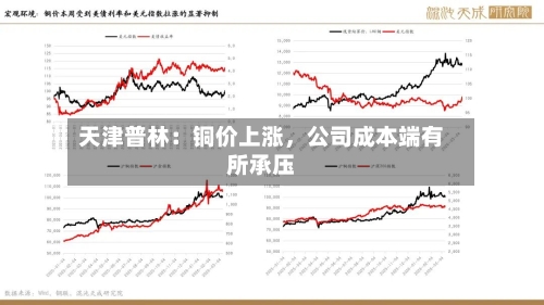 天津普林：铜价上涨	，公司成本端有所承压-第2张图片