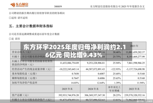东方环宇2025年度归母净利润约2.16亿元 同比增9.43%-第2张图片