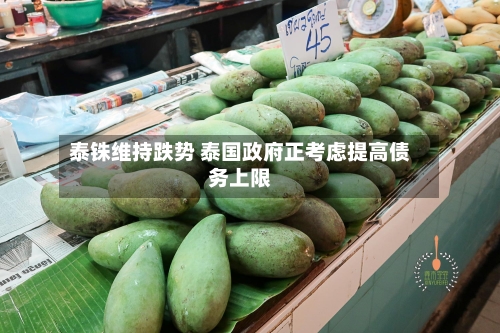 泰铢维持跌势 泰国政府正考虑提高债务上限