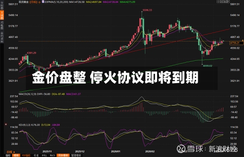 金价盘整 停火协议即将到期