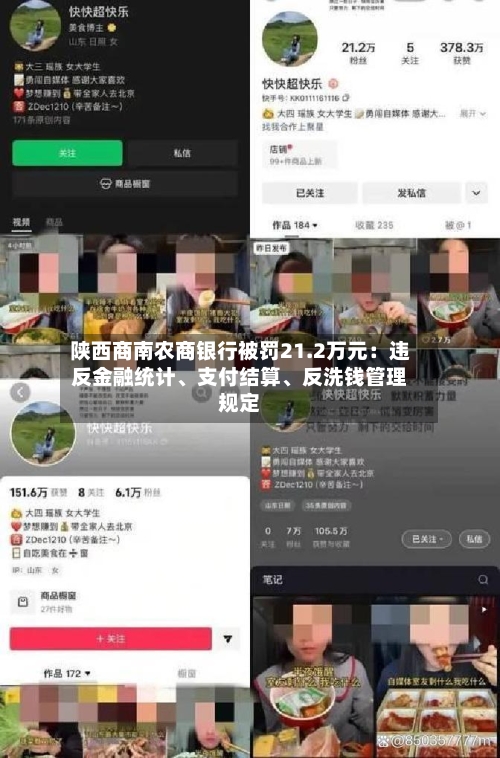 陕西商南农商银行被罚21.2万元：违反金融统计、支付结算、反洗钱管理规定