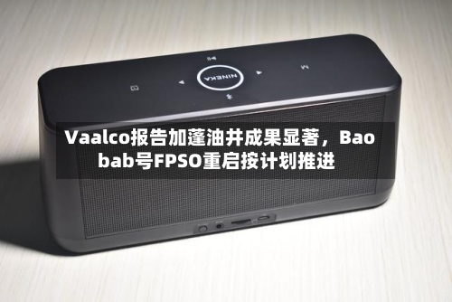Vaalco报告加蓬油井成果显著	，Baobab号FPSO重启按计划推进-第2张图片