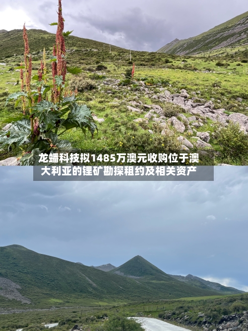 龙蟠科技拟1485万澳元收购位于澳大利亚的锂矿勘探租约及相关资产