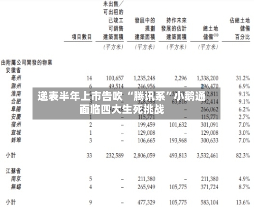 递表半年上市告吹 “腾讯系”小鹅通面临四大生死挑战-第2张图片