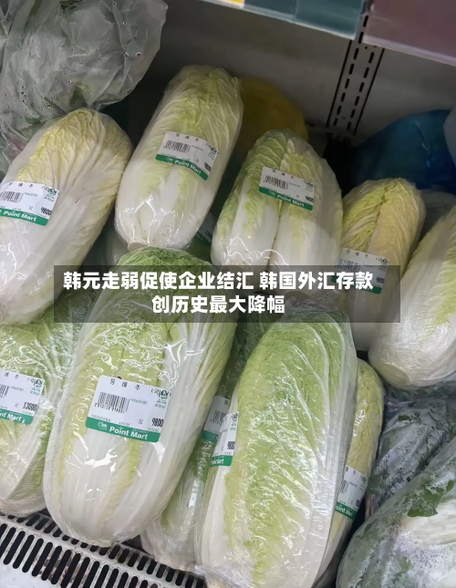 韩元走弱促使企业结汇 韩国外汇存款创历史最大降幅-第1张图片