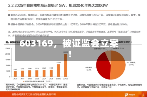 603169	，被证监会立案！-第2张图片