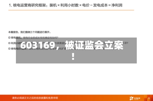 603169，被证监会立案！