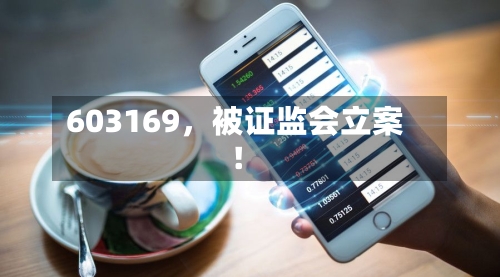 603169，被证监会立案！-第3张图片