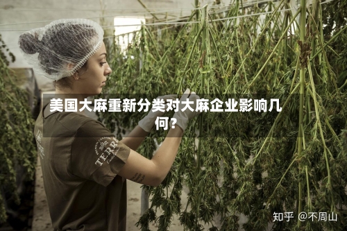 美国大麻重新分类对大麻企业影响几何？-第3张图片