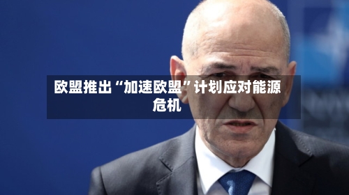 欧盟推出“加速欧盟	”计划应对能源危机-第3张图片