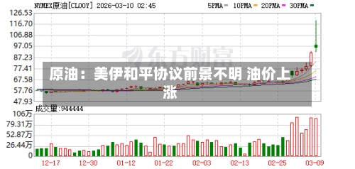 原油：美伊和平协议前景不明 油价上涨