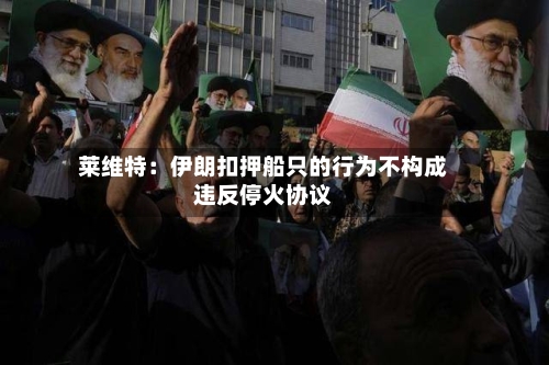 莱维特：伊朗扣押船只的行为不构成违反停火协议-第1张图片