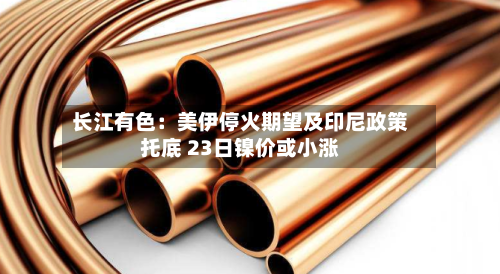 长江有色：美伊停火期望及印尼政策托底 23日镍价或小涨-第2张图片