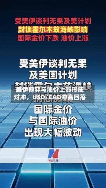 美伊博弈与油价上涨形成对冲，USD/CAD冲高回落