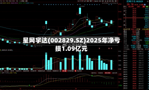 星网宇达(002829.SZ)2025年净亏损1.09亿元