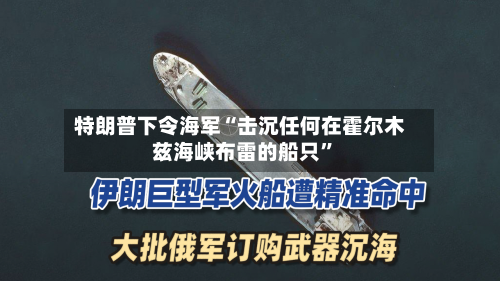特朗普下令海军“击沉任何在霍尔木兹海峡布雷的船只”-第2张图片