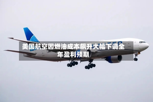 美国航空因燃油成本飙升大幅下调全年盈利预期
