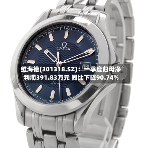 维海德(301318.SZ)：一季度归母净利润391.83万元 同比下降90.74%-第1张图片