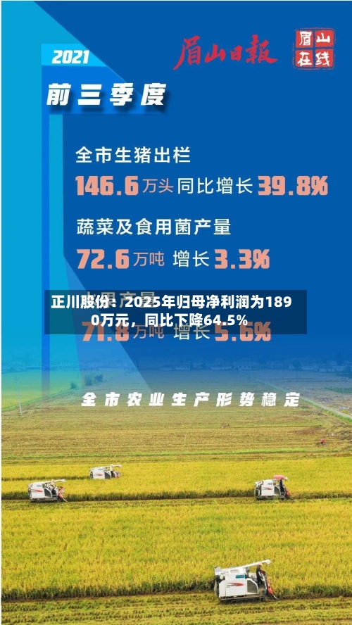 正川股份：2025年归母净利润为1890万元，同比下降64.5%-第2张图片
