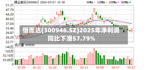 恒而达(300946.SZ)2025年净利润同比下滑57.79%